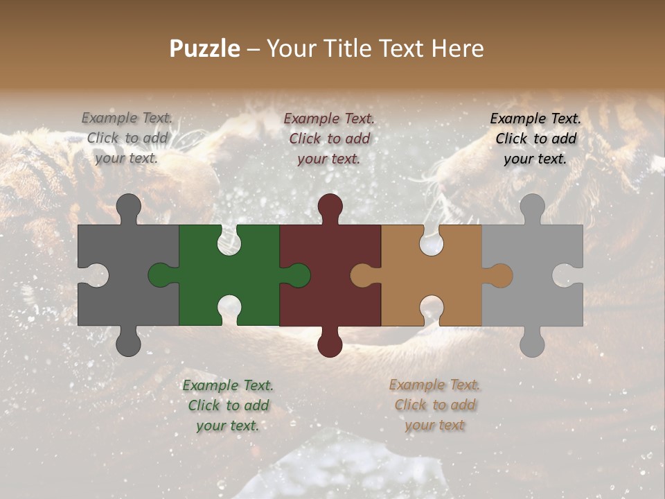 Action Wildlife Displeased PowerPoint Template