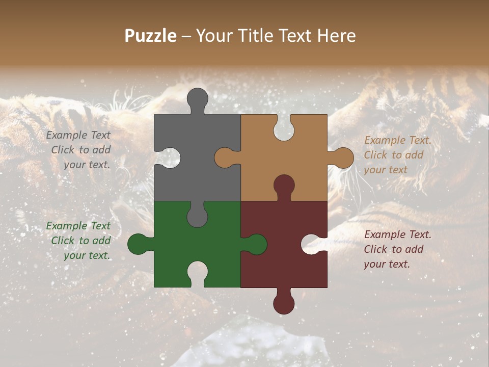 Action Wildlife Displeased PowerPoint Template