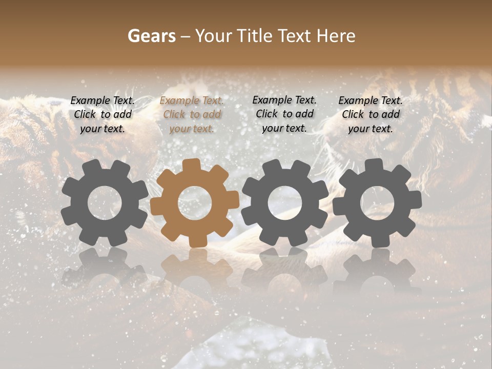 Action Wildlife Displeased PowerPoint Template