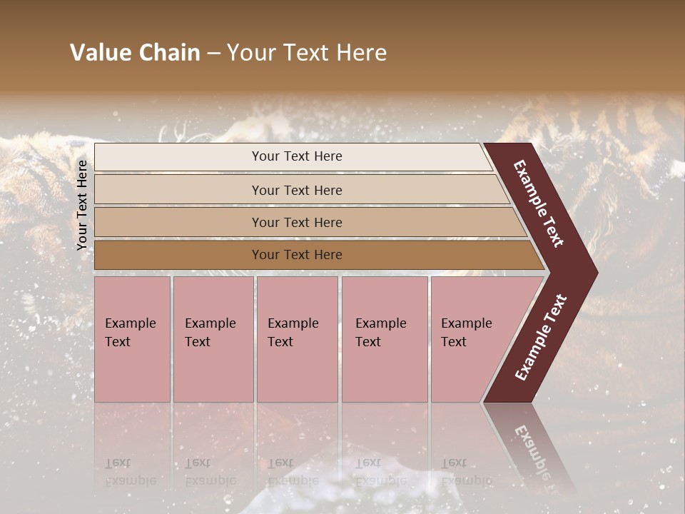 Action Wildlife Displeased PowerPoint Template