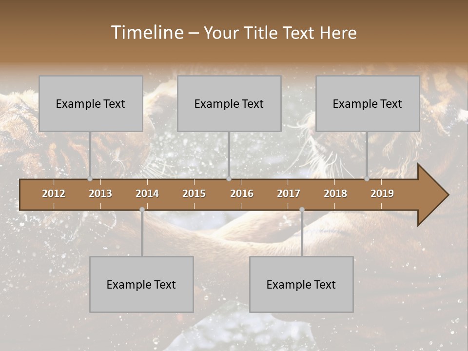 Action Wildlife Displeased PowerPoint Template
