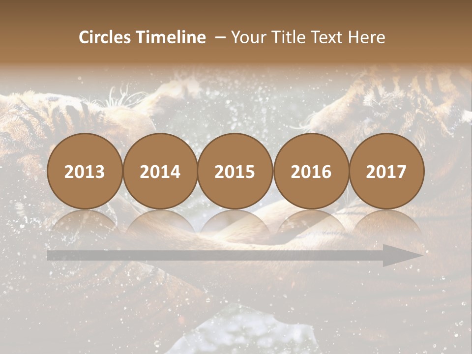 Action Wildlife Displeased PowerPoint Template