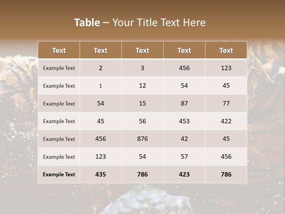 Action Wildlife Displeased PowerPoint Template
