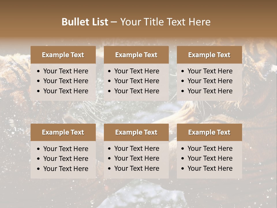 Action Wildlife Displeased PowerPoint Template