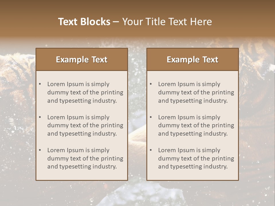 Action Wildlife Displeased PowerPoint Template