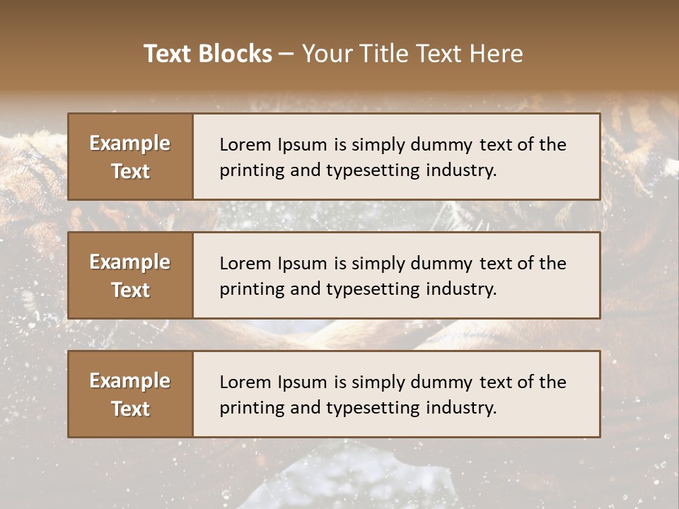 Action Wildlife Displeased PowerPoint Template