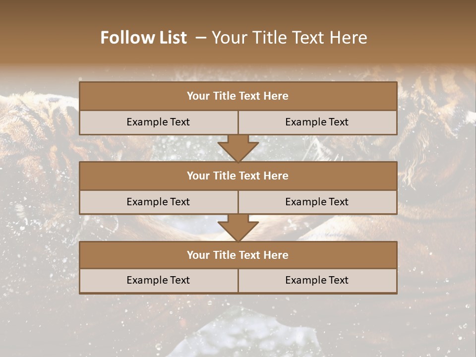Action Wildlife Displeased PowerPoint Template