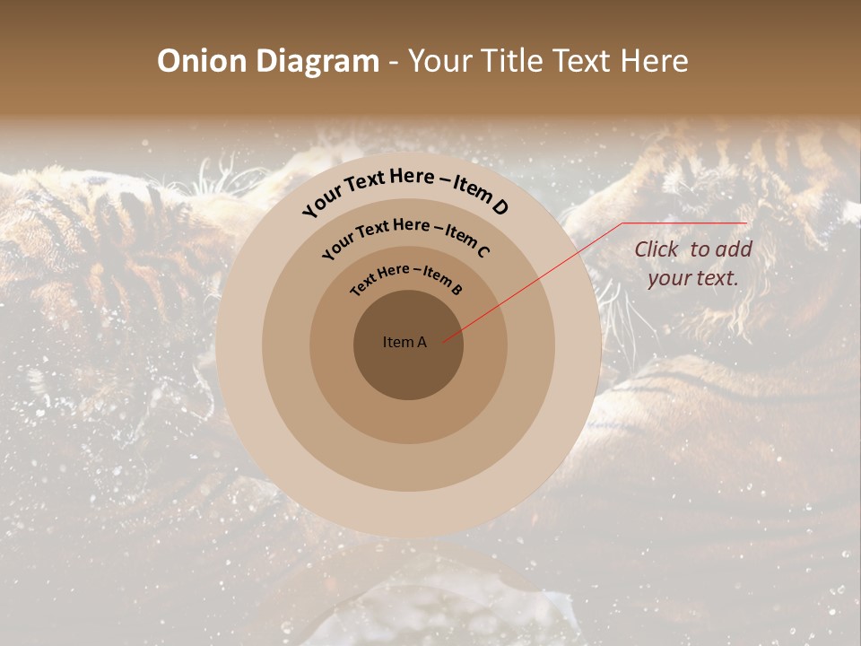 Action Wildlife Displeased PowerPoint Template