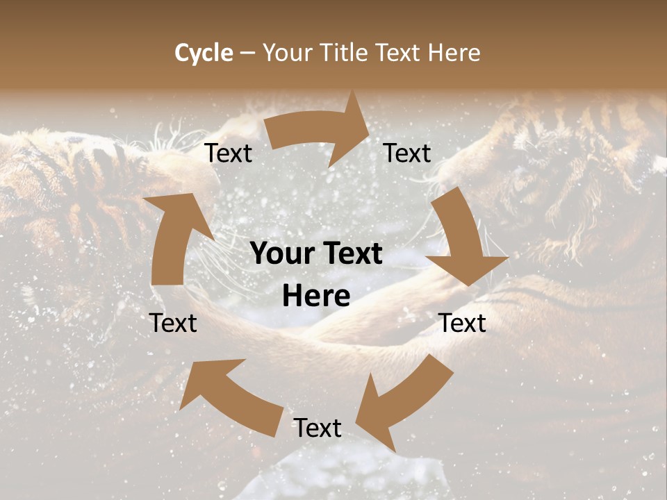 Action Wildlife Displeased PowerPoint Template