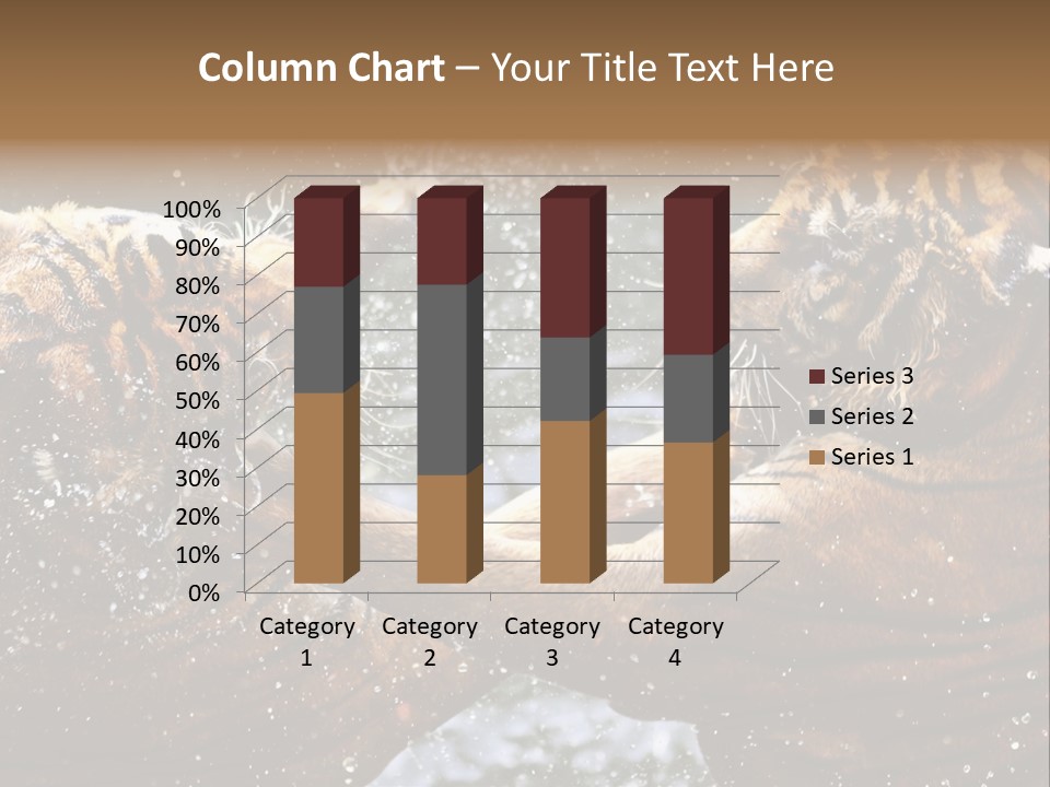 Action Wildlife Displeased PowerPoint Template