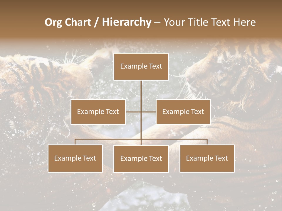 Action Wildlife Displeased PowerPoint Template