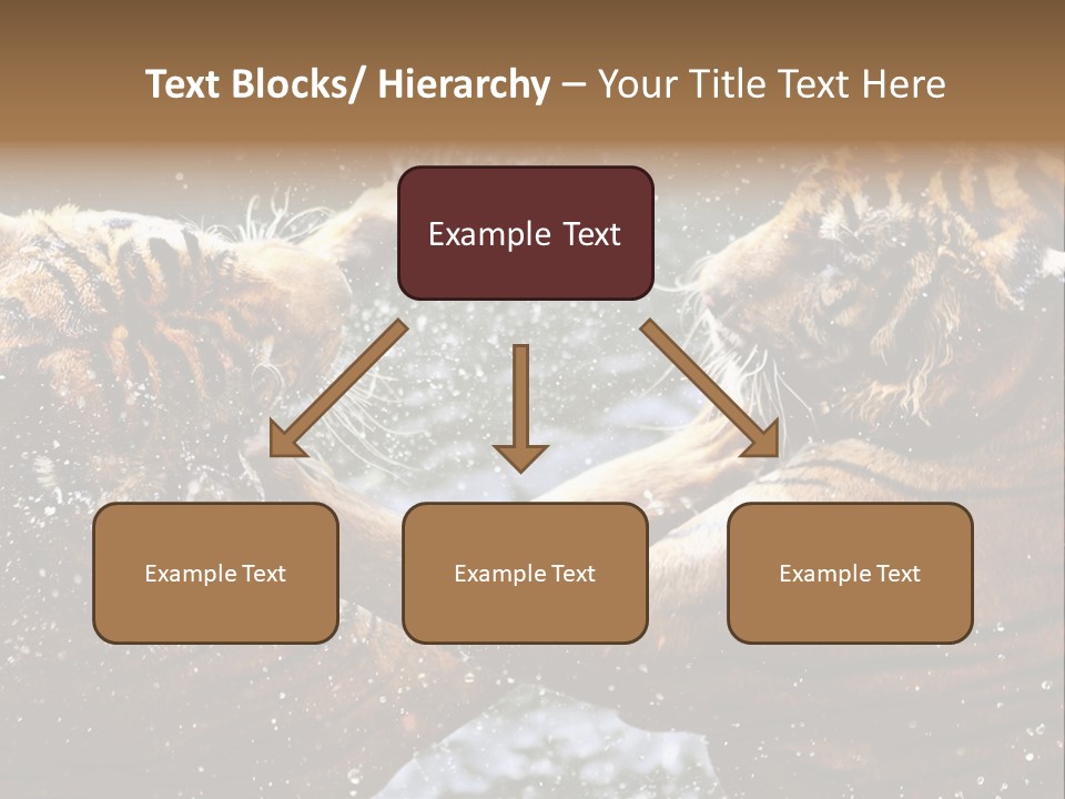 Action Wildlife Displeased PowerPoint Template