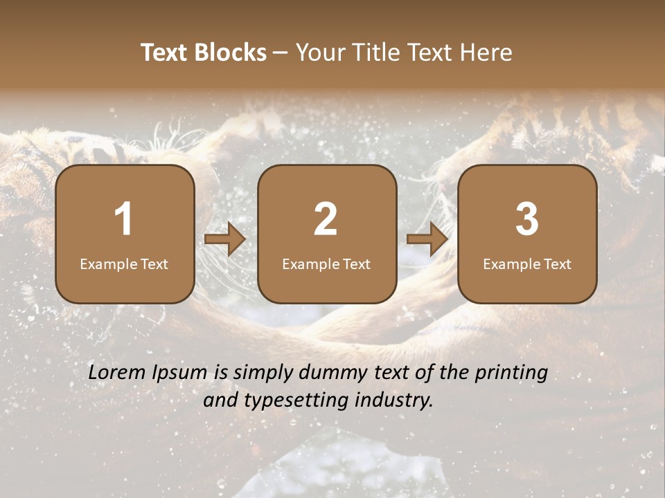 Action Wildlife Displeased PowerPoint Template