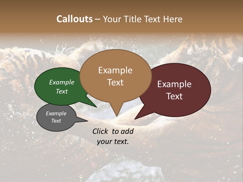 Action Wildlife Displeased PowerPoint Template