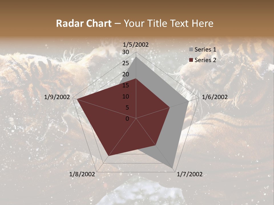 Action Wildlife Displeased PowerPoint Template