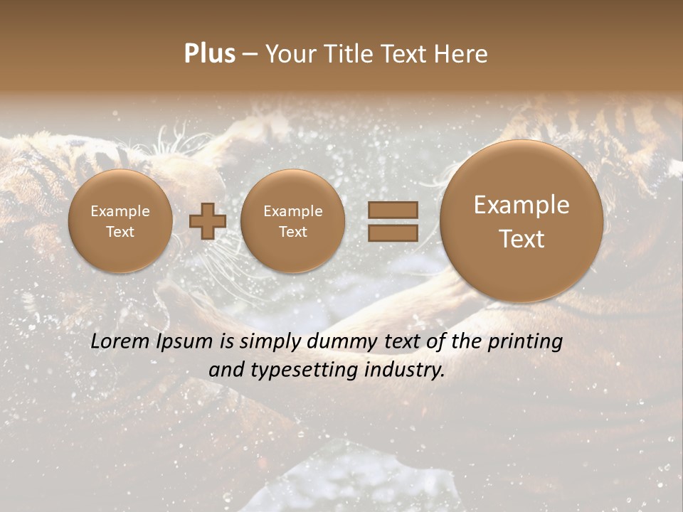 Action Wildlife Displeased PowerPoint Template