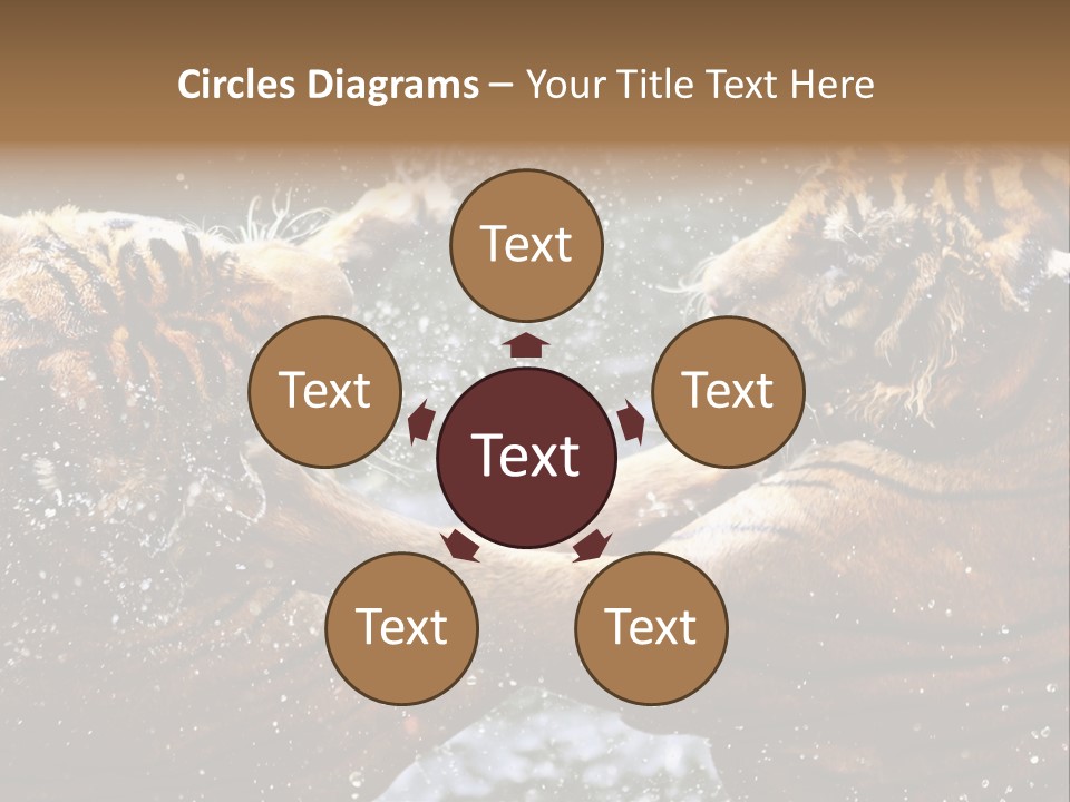 Action Wildlife Displeased PowerPoint Template