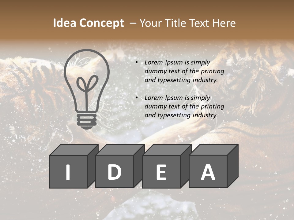 Action Wildlife Displeased PowerPoint Template