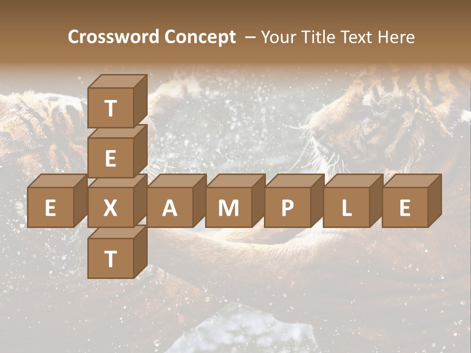 Action Wildlife Displeased PowerPoint Template