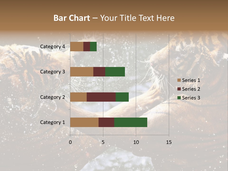 Action Wildlife Displeased PowerPoint Template