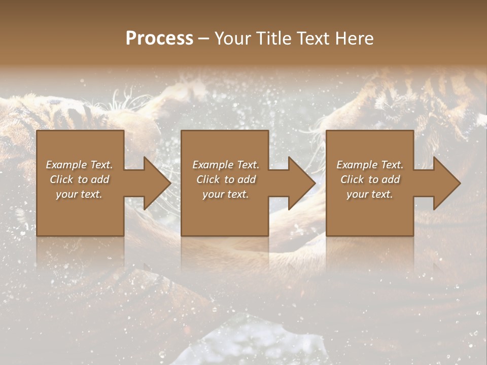 Action Wildlife Displeased PowerPoint Template