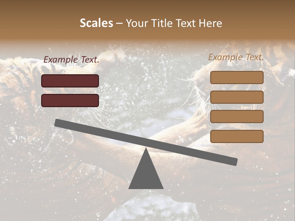 Action Wildlife Displeased PowerPoint Template