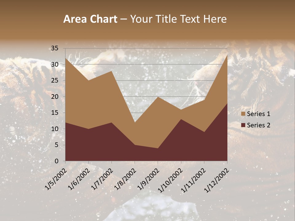 Action Wildlife Displeased PowerPoint Template