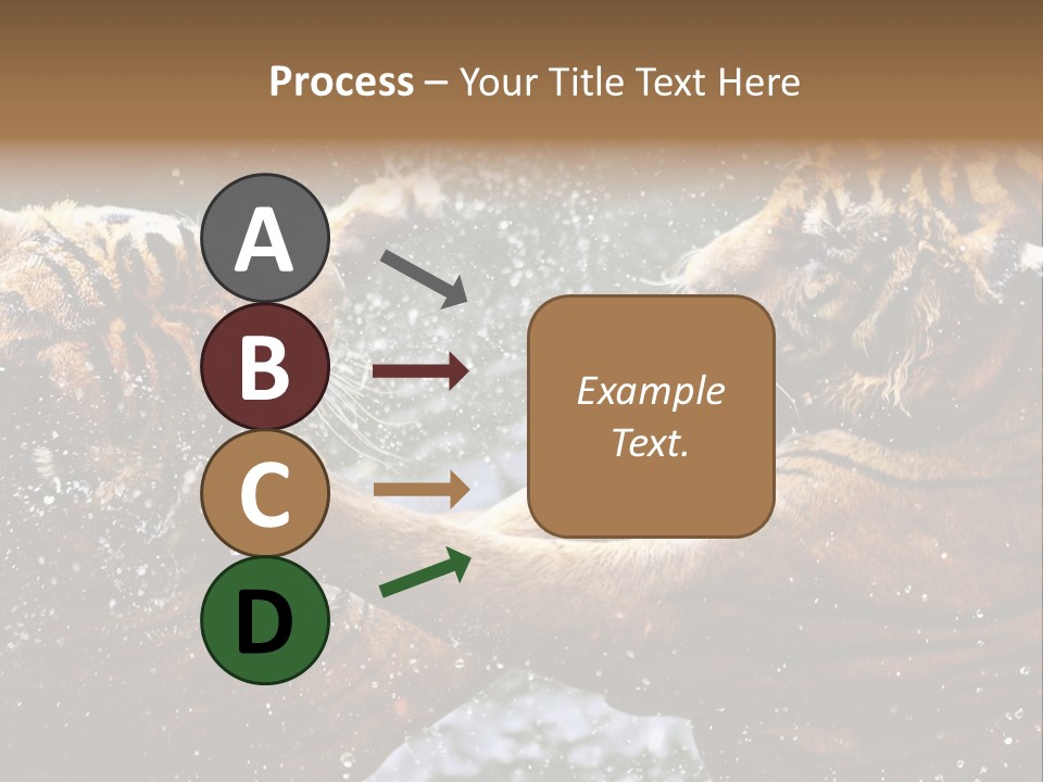 Action Wildlife Displeased PowerPoint Template