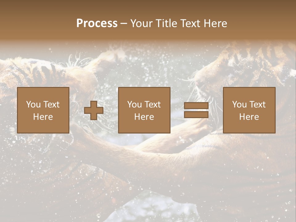 Action Wildlife Displeased PowerPoint Template