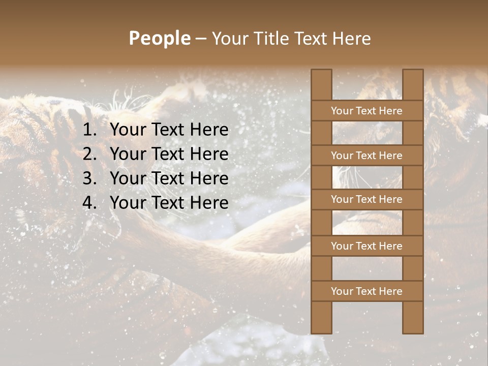 Action Wildlife Displeased PowerPoint Template