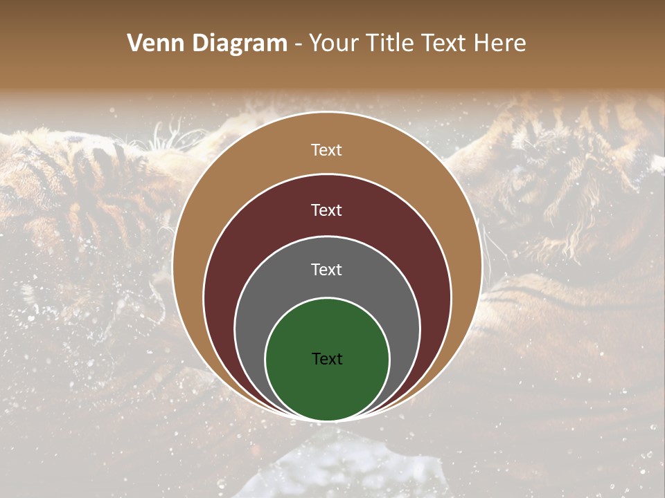 Action Wildlife Displeased PowerPoint Template