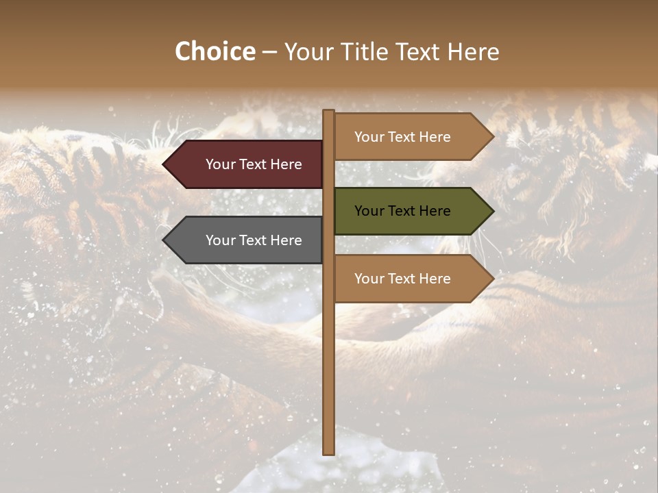Action Wildlife Displeased PowerPoint Template