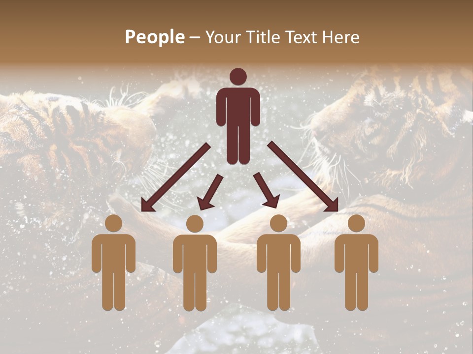 Action Wildlife Displeased PowerPoint Template