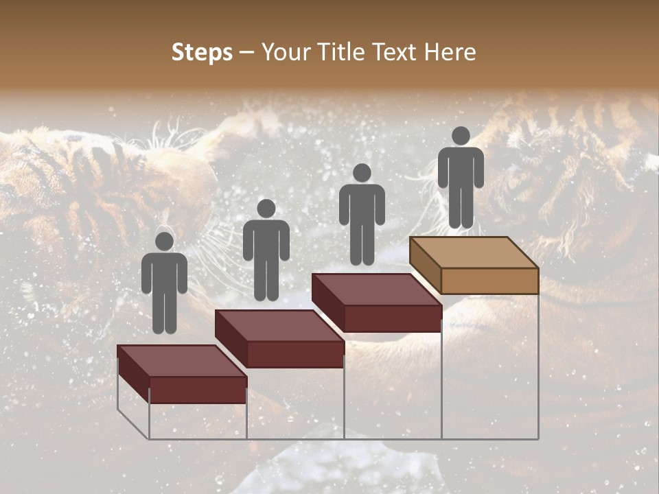 Action Wildlife Displeased PowerPoint Template