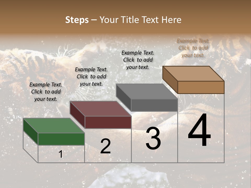 Action Wildlife Displeased PowerPoint Template