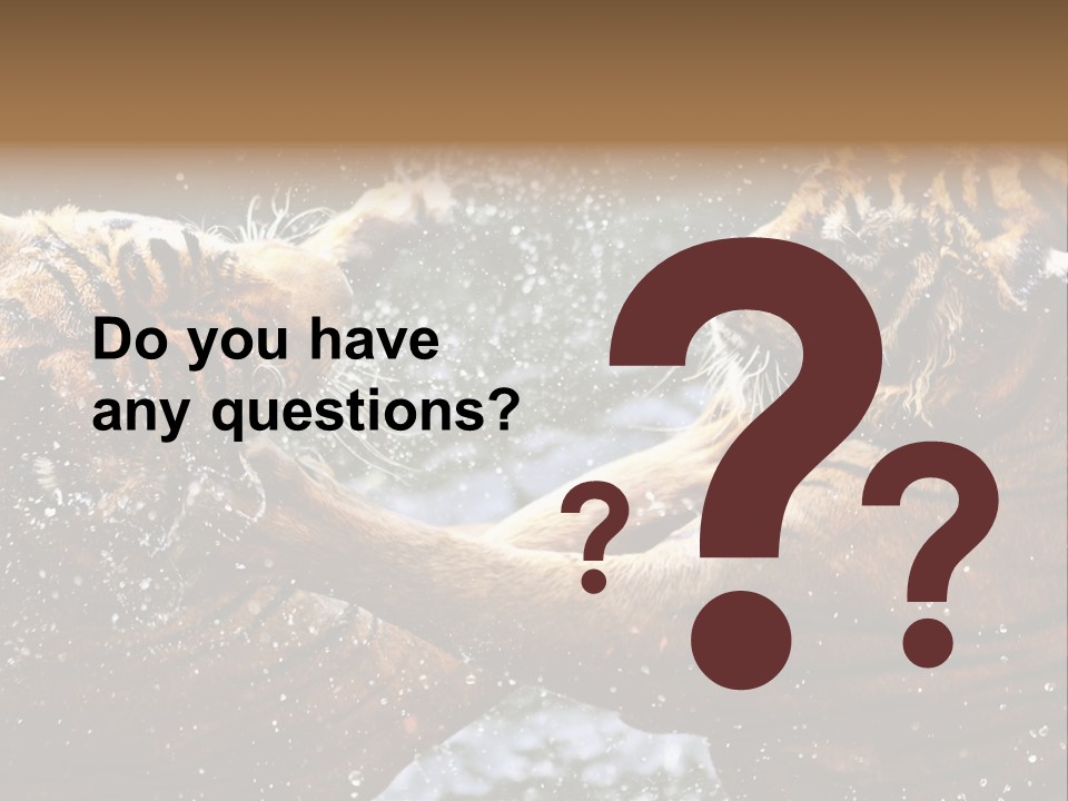 Action Wildlife Displeased PowerPoint Template