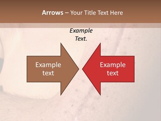 Line Operating Men PowerPoint Template