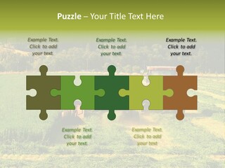 Field Windrow Agricultural PowerPoint Template