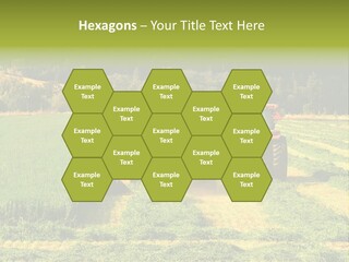Field Windrow Agricultural PowerPoint Template
