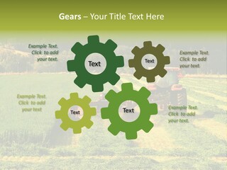 Field Windrow Agricultural PowerPoint Template