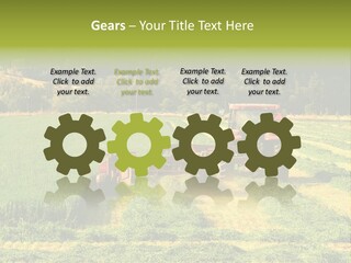 Field Windrow Agricultural PowerPoint Template