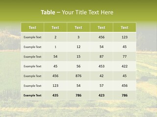 Field Windrow Agricultural PowerPoint Template