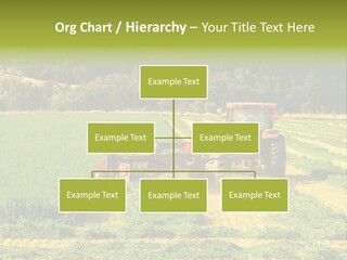 Field Windrow Agricultural PowerPoint Template