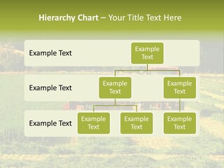 Field Windrow Agricultural PowerPoint Template