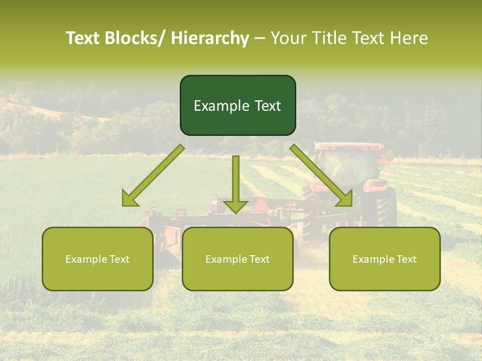 Field Windrow Agricultural PowerPoint Template