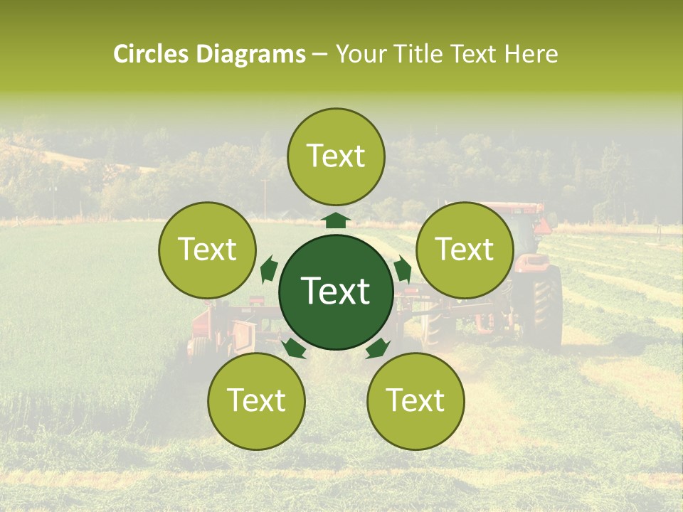 Field Windrow Agricultural PowerPoint Template