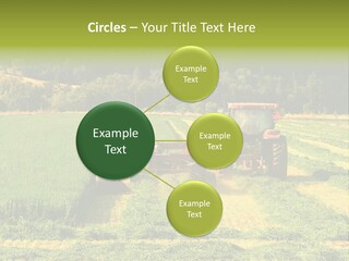 Field Windrow Agricultural PowerPoint Template