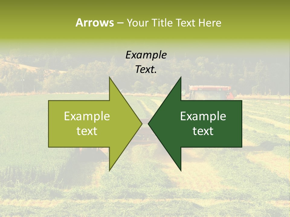 Field Windrow Agricultural PowerPoint Template