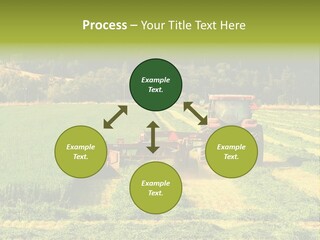 Field Windrow Agricultural PowerPoint Template