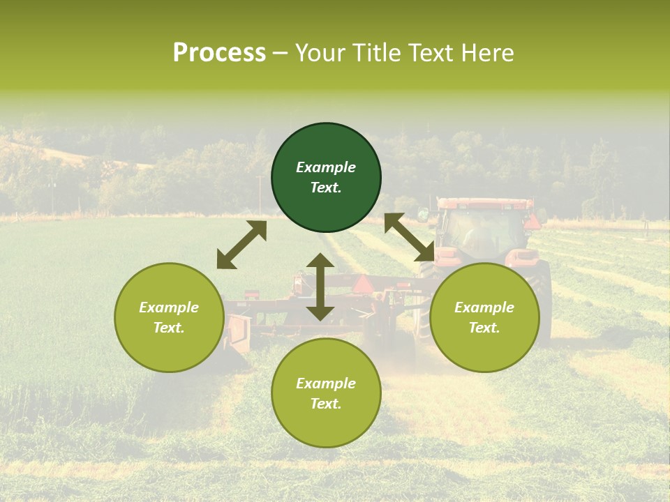 Field Windrow Agricultural PowerPoint Template